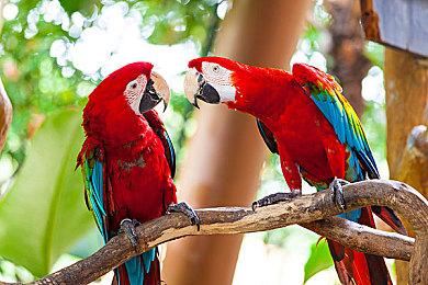 《模拟农场25》已推出 但因语言问题褒贬不一